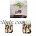 Fashion Glass Stand Plant Flower Vase Hydroponic Container Home Garden Decor   132678351038